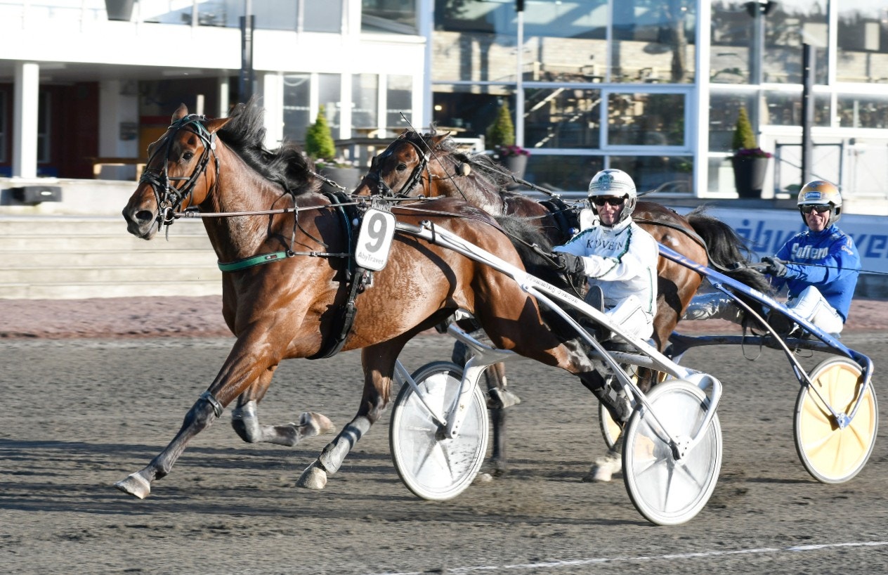 Eros Zola är en bra start på kvällen. Foto: Göran Lindskog, ALN