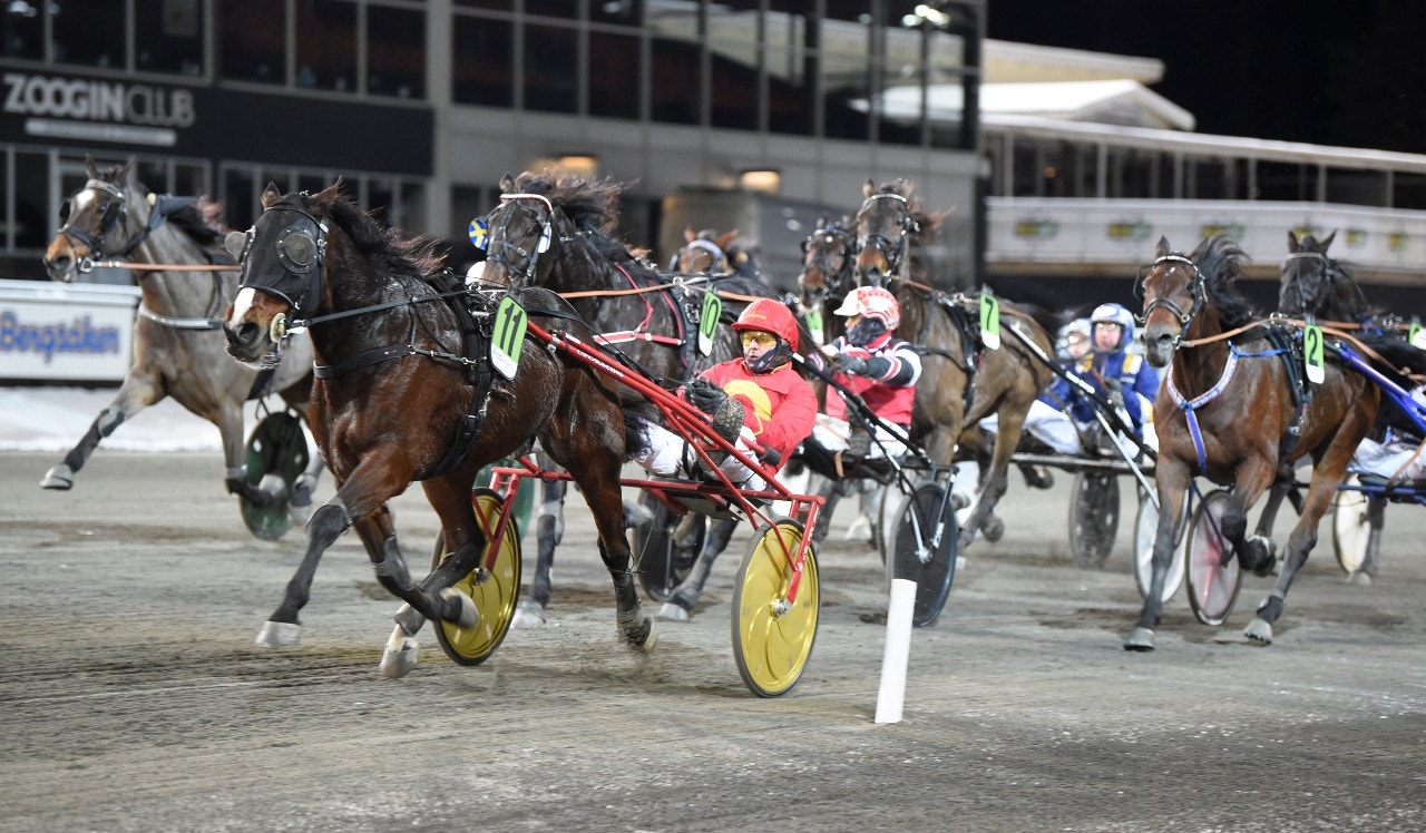Full kontroll i ledningen hade Disco Volante då han segrade i Zoogins lopp. Foto: Christer Norin, ALN