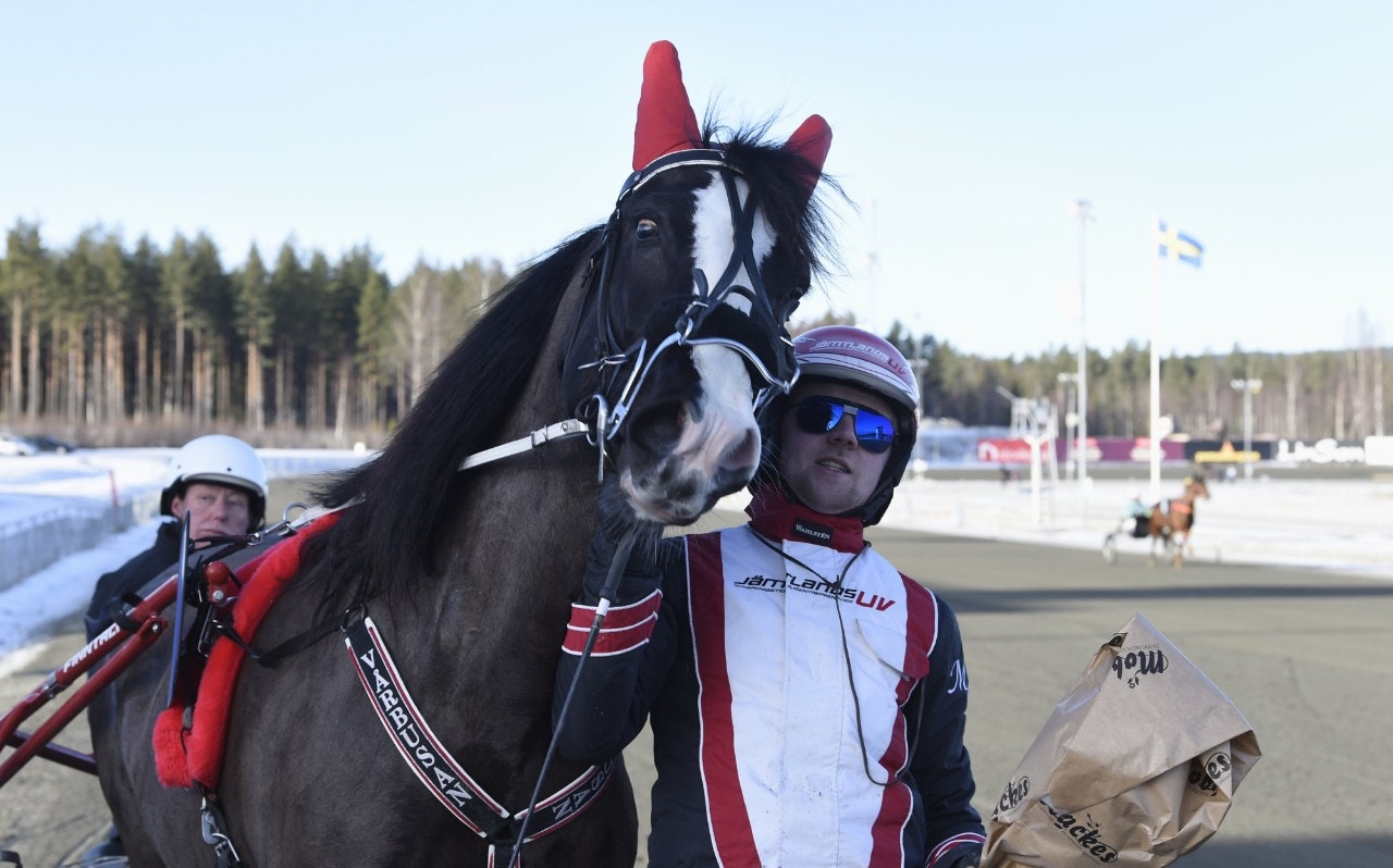 Dannero 11 april: Vårbusan - runt om