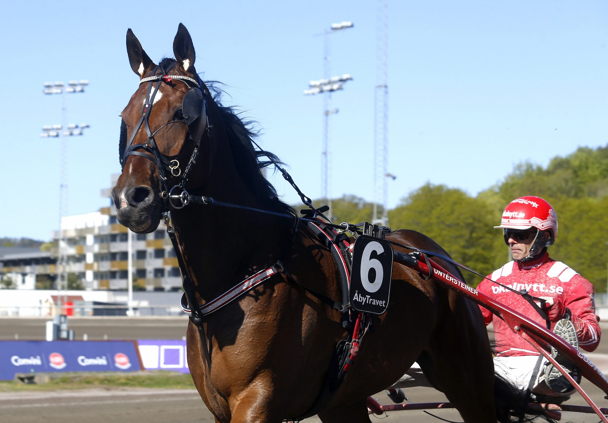 Tips Halmstad 6 juli: Vi tror på Pastor Power!