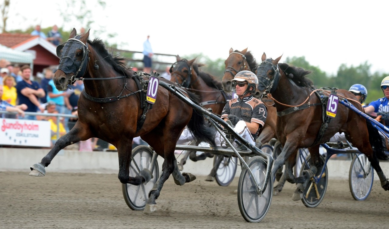 Explosive Merlot visade musklerna när han vann Mälarpriset över dryg distans. Foto: Martin Langels, ALN