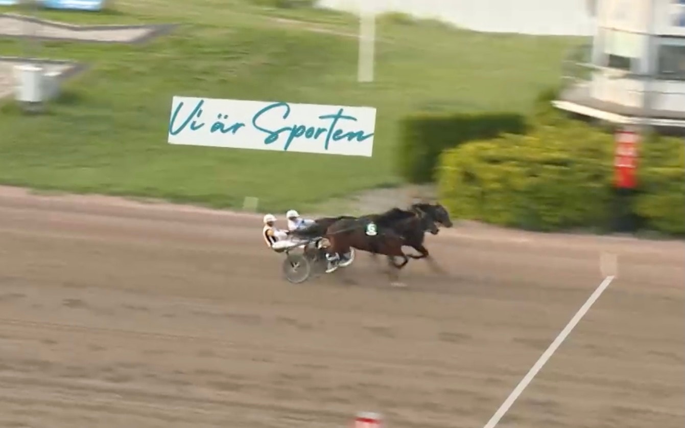 En häst med sulky under ett travlopp på en travbana. Hästen är i full galopp med kusken i vagnen. I bakgrunden syns gröna gräsytor och en skylt med texten "Vårt Spartan".
