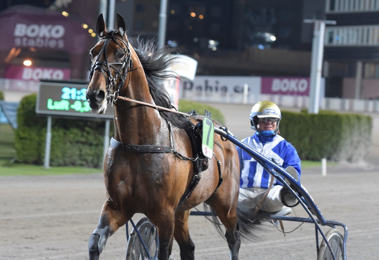 Ecurie D. tar Paralympiatravet först - sedan Elitloppet. Foto: Leif Norberg, ALN