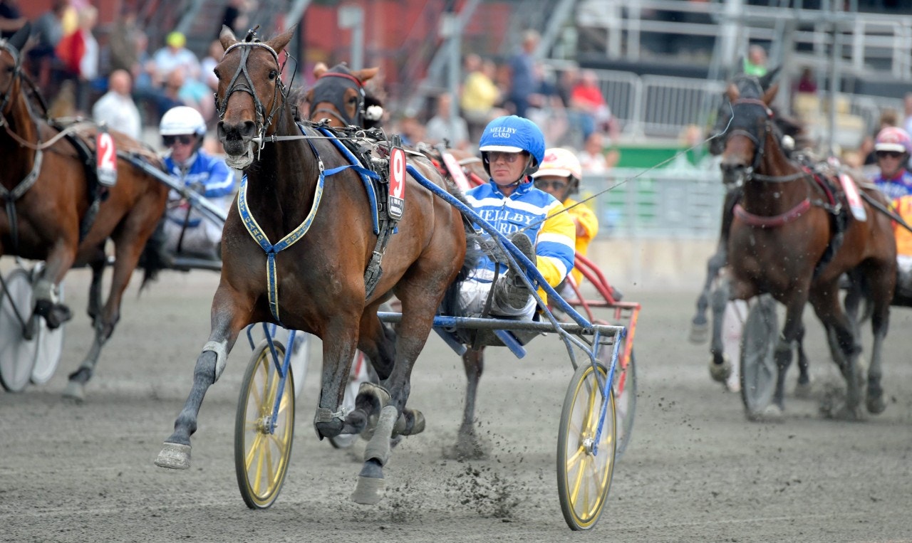 De är anmälda till Sto-EM