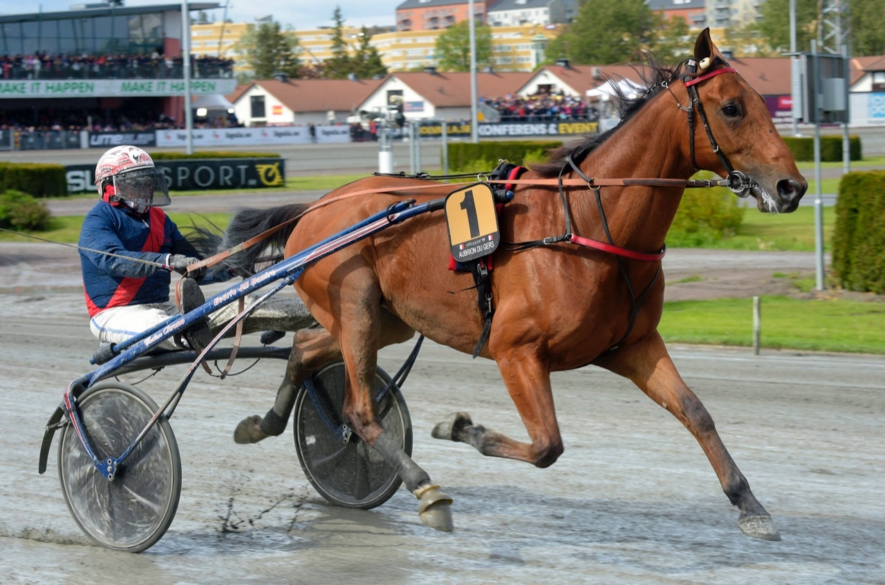 Aubrion Du Gers startar på hemmaplan