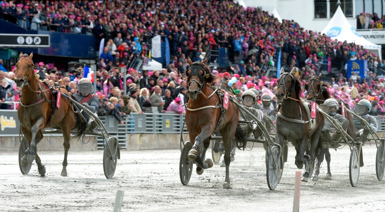 Dijon mot segern i Elitloppet förra året. Får vi sen en ny chock i år? Foto: Martin Langels, ALN