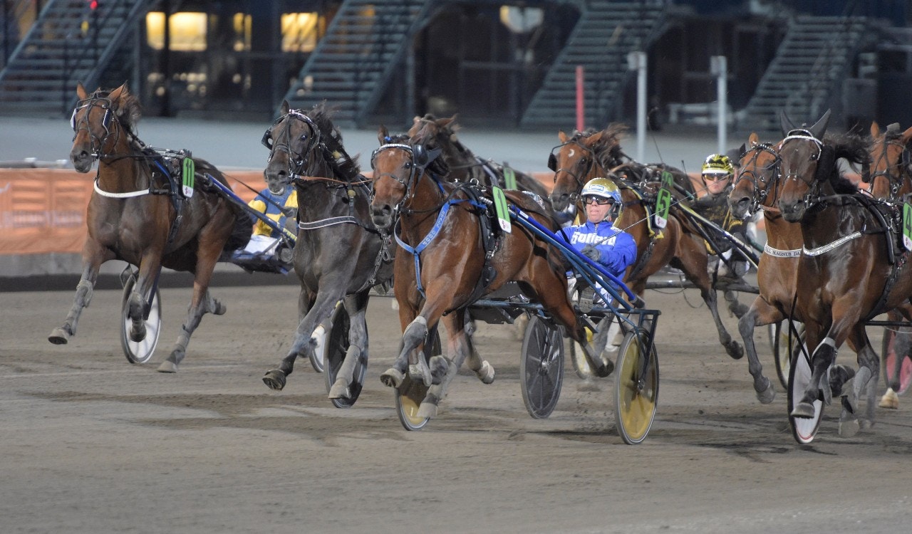 Valetta, mot en seger på Solvalla. Foto: Leif Norberg, ALN