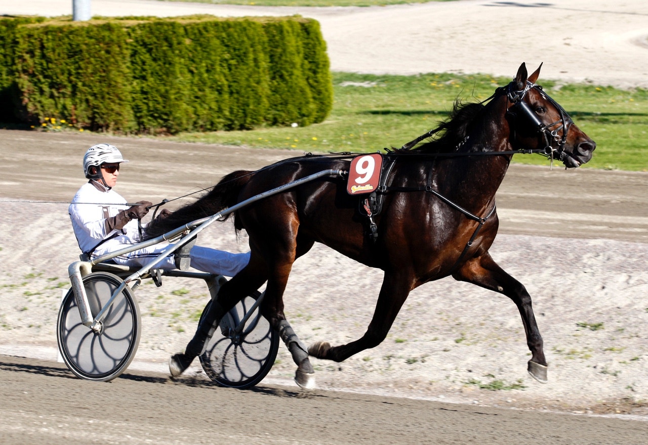 Greenshoe grym på 1.08,6
