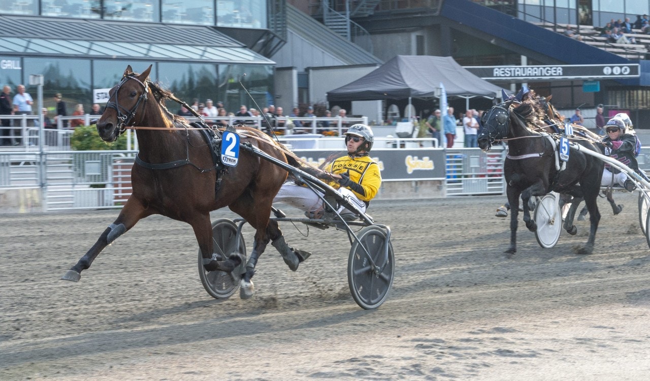 Solvalla 17 september: Djokovic runt om!