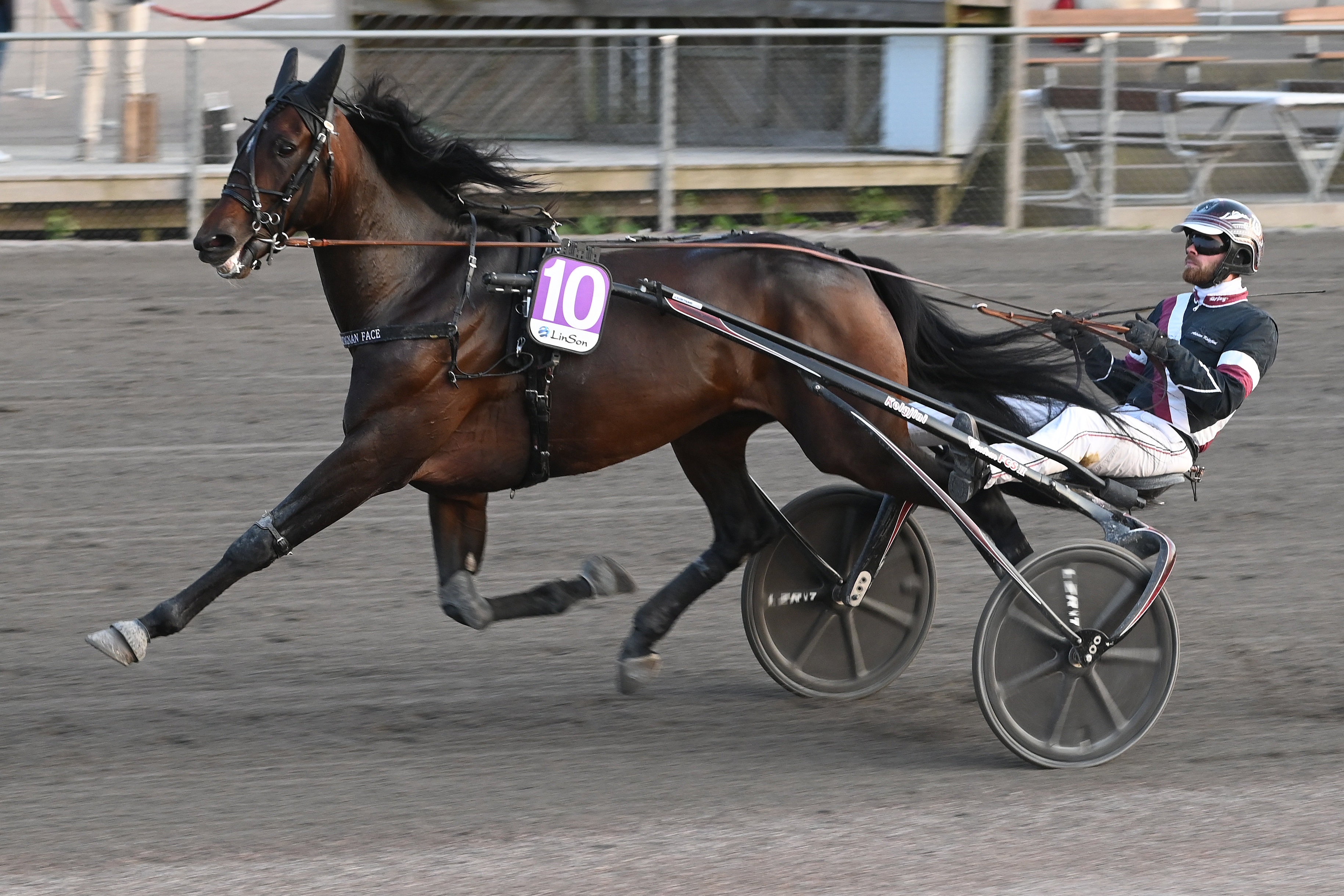 Lovande fyraåring – flyttas till Redén