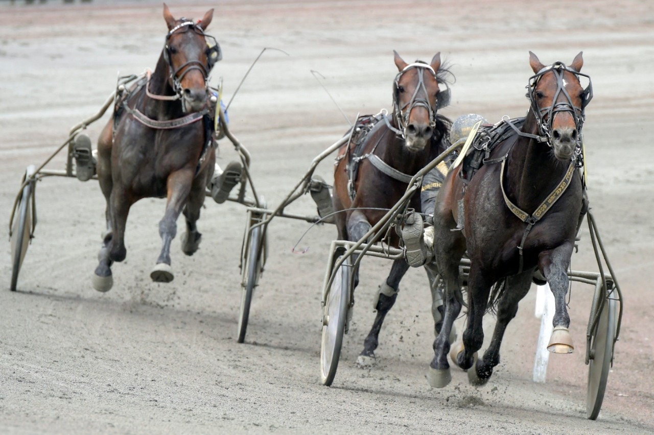 M.T. Insider på väg mot segern i fjolårets Speedrace. Foto: Martin Langels, ALN
