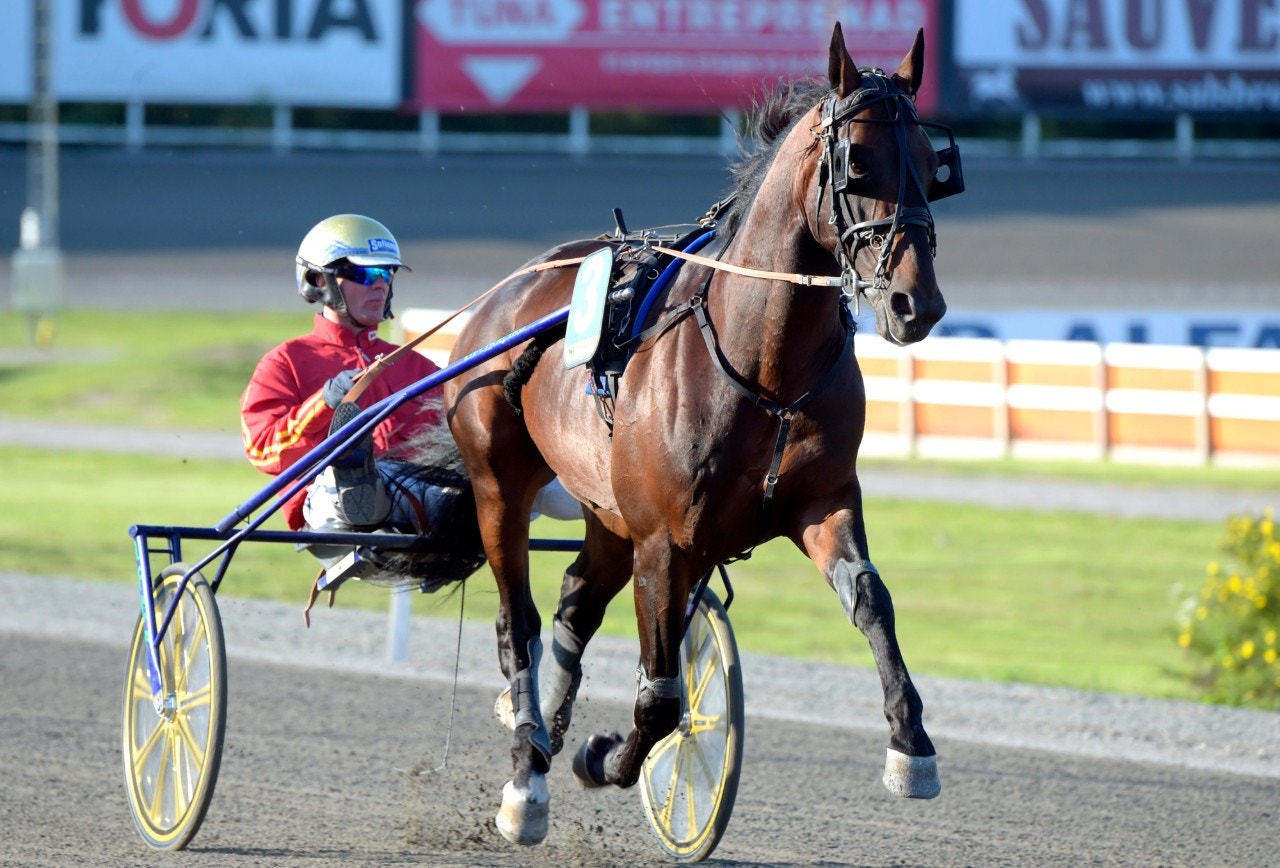 Vainqueur R.P. slog till i Kanada