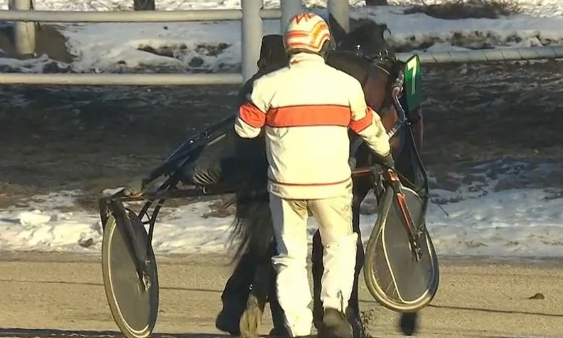 Olycka under söndagen – hästen hyllas