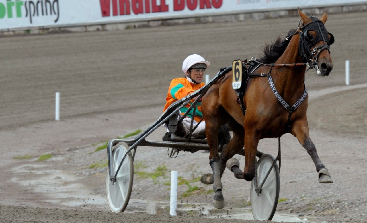 Billie de Montfort ordande en storseger i Italien. Foto: Martin Langels, ALN