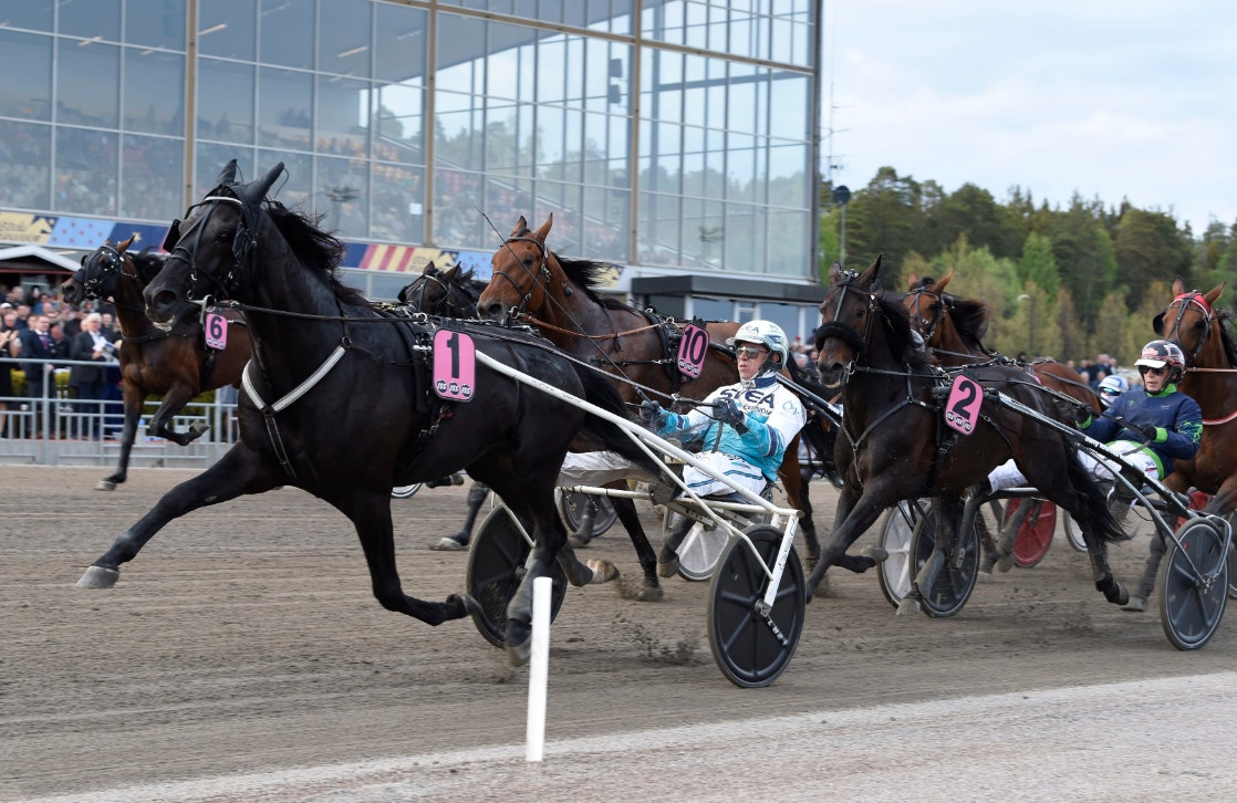 Spets hela vägen för Sorbet - Elitloppet nästa!