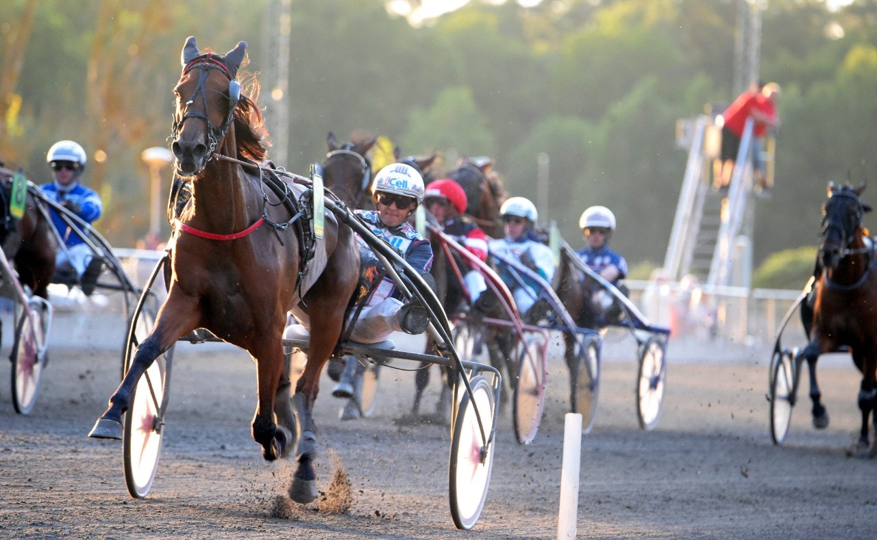 Beauty Leg förkrossande i Diamantstoet