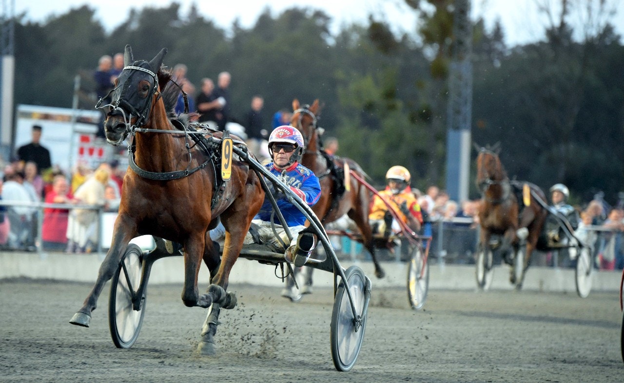 Pinto Bob inleder aftonen. Foto: Martin Langels, ALN
