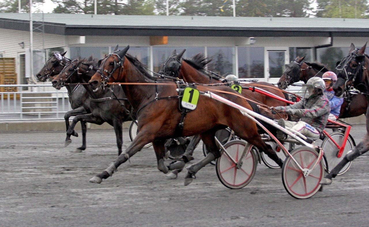 Vien Ici spelas i kväll. Foto: Tom Jönehag, ALN