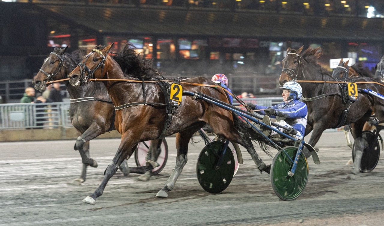 Säkert i Silverhästen för Global Trustworthy