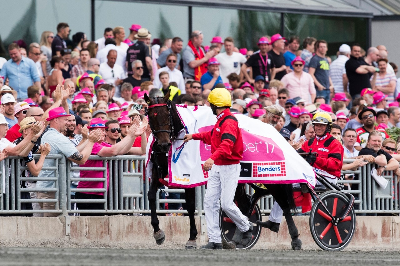 Elitloppet utan publik. Då får festen flytta till teven. Här är tiderna att hålla reda på. Foto: Andreas L Eriksson, Bildbyrån