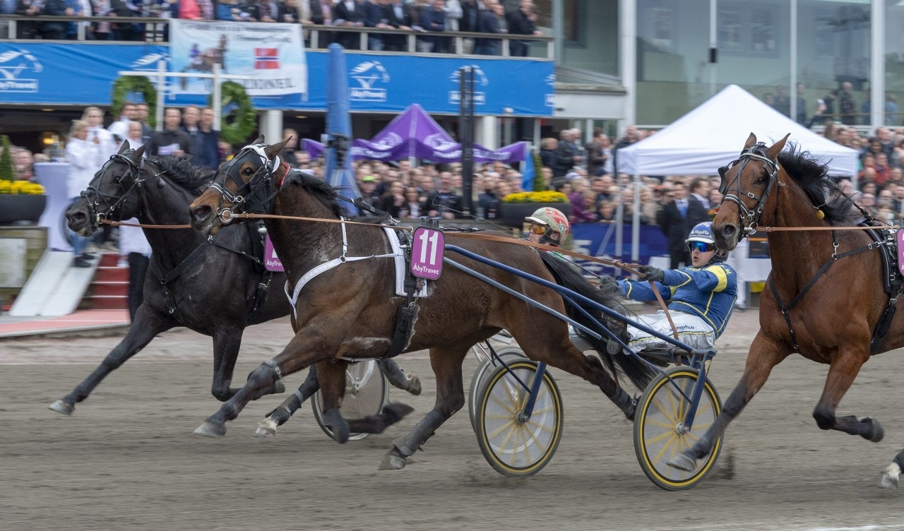 Floris Baldwin vinner på Åby igen? Foto: Tommy Andersson, ALN