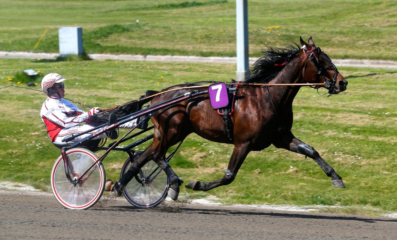 Heart of Steel utan chans mot vass Tsunami