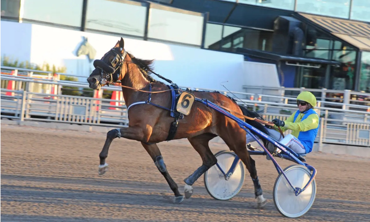 Eteria med i listan nästa onsdag. Foto: Adam Ström Stall TZ