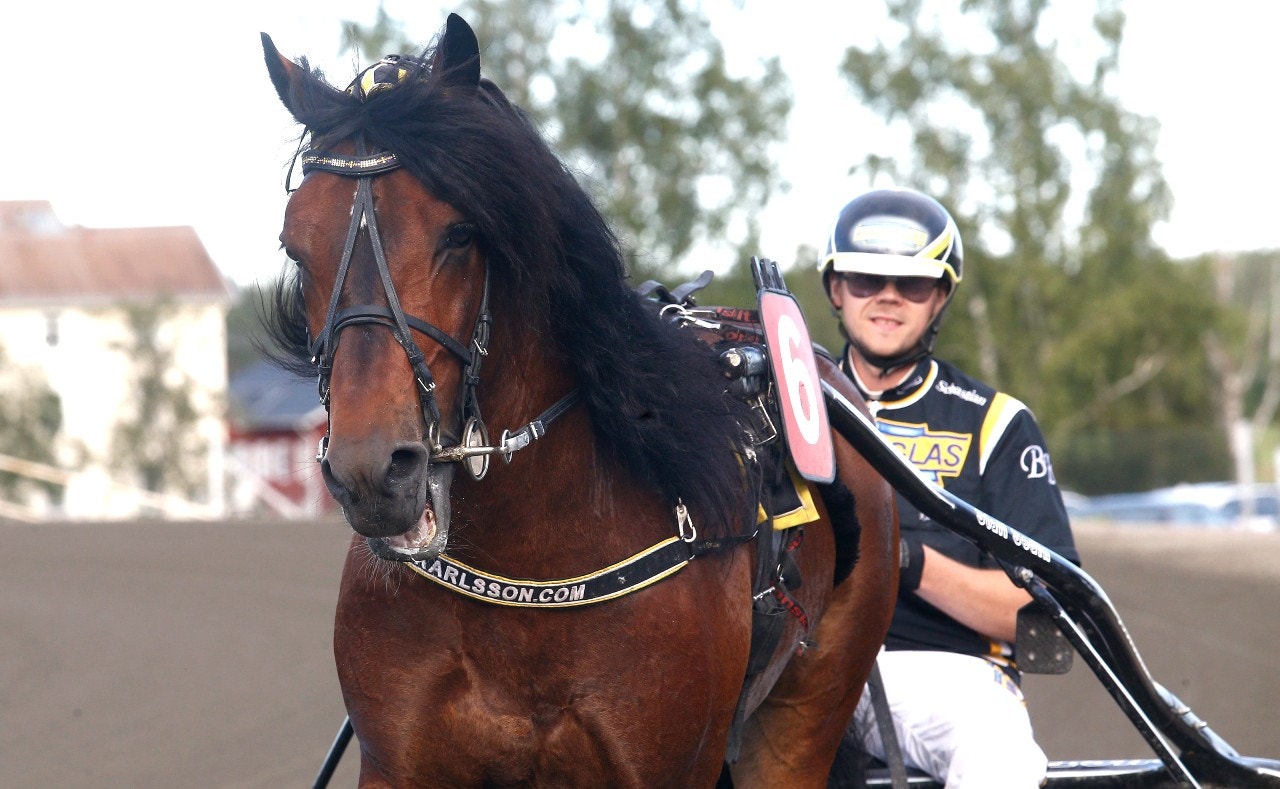Tangen Haap tog tredje raka i fin stil. Foto: Hanold, ALN