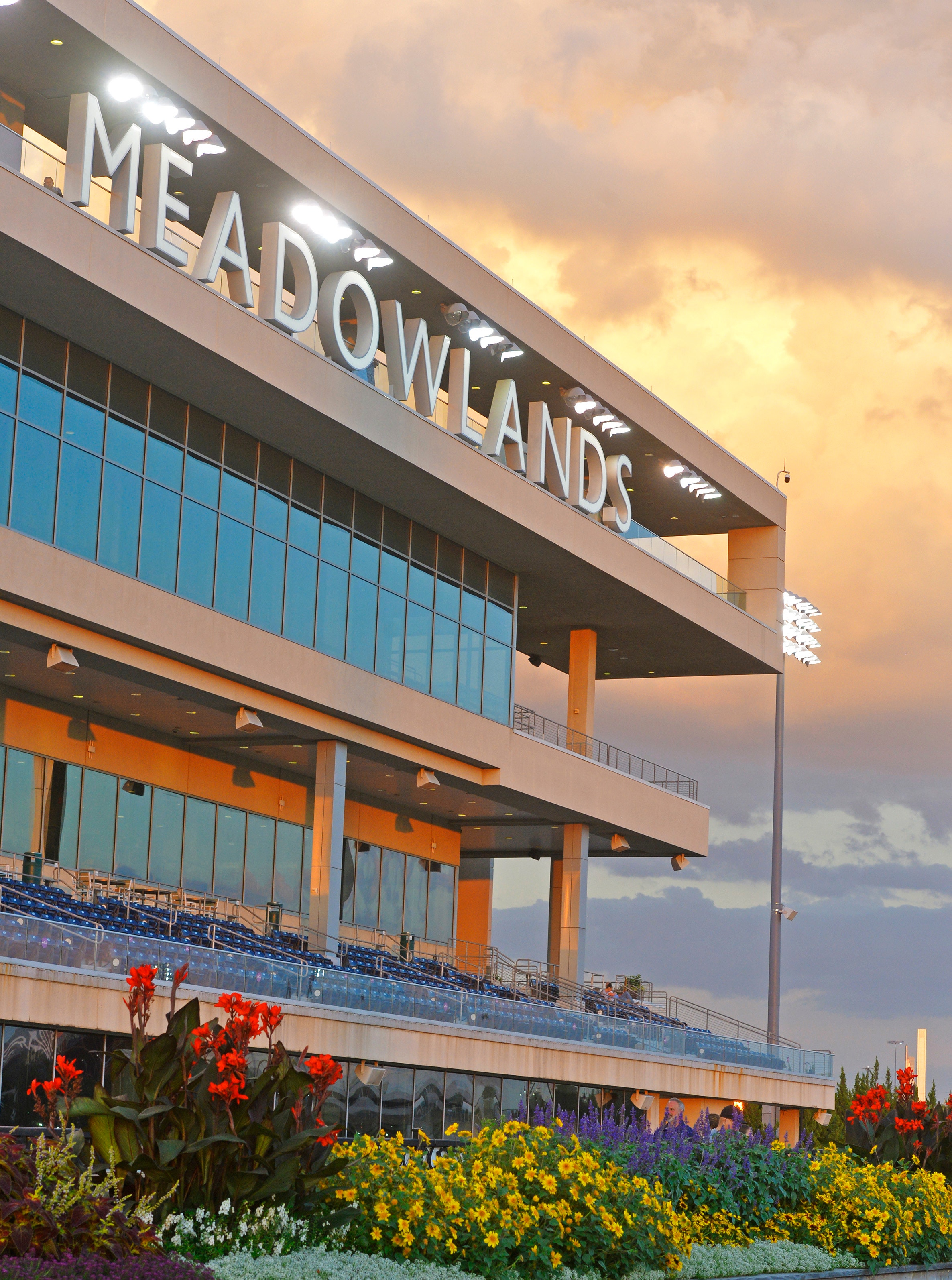 Meadowlands stadion läktare fotograferad under solnedgång med varma orange och gula färger på himlen. I förgrunden syns färgglada blommor i rött och gult.