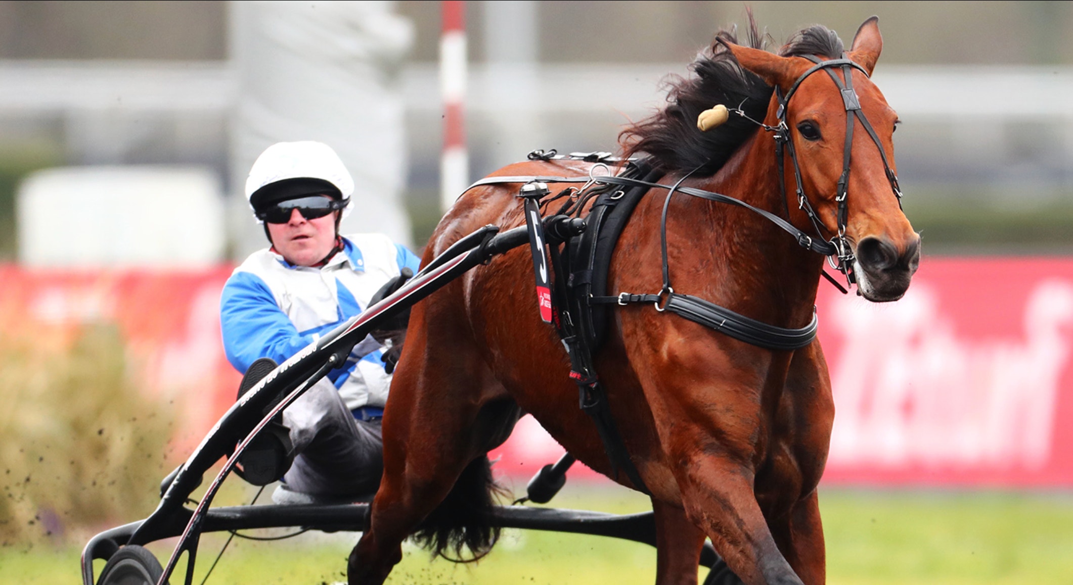 Drömfölet är här – supermamman