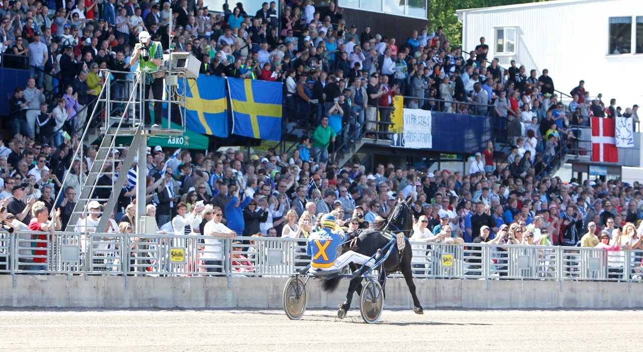 Ett speedrace för kallblod blir en nyhet under årets Elitlopps-helg. Foto: Micke Gustafsson, ALN