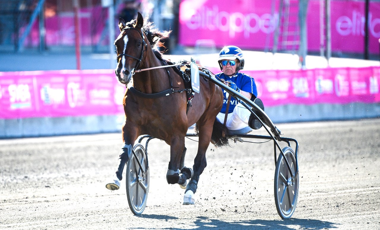 Looking Superb gör debut under sadel. Foto: Simon Hastegård, Bildbyrån