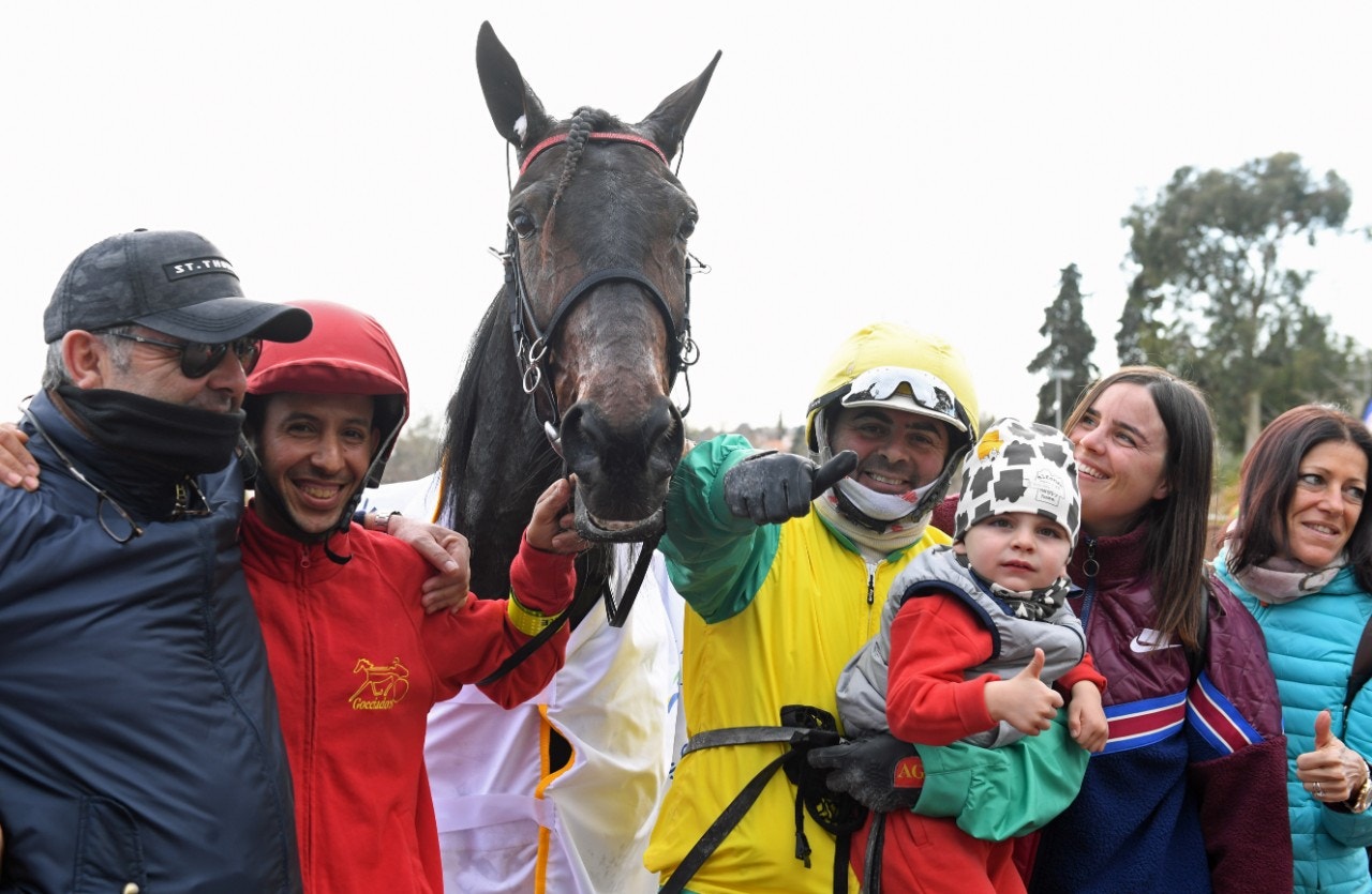 Vivid Wise As blev den förste hästen att bjudas in till Elitloppet efter sin seger i Critérium de Vitesse. Foto: Gerard Forni, Scoop Dyga.