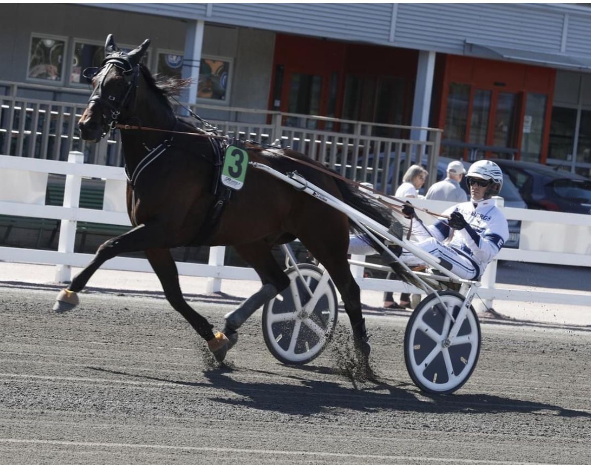 Hipster K opererad – siktar på hattrick nästa år