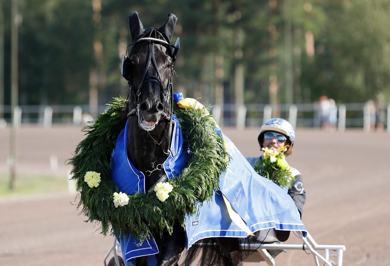 Elitloppstrea Sorbet är tillbaka - startar i Gulddivisionen i Bollnäs. Foto: Micke Gustafsson, ALN