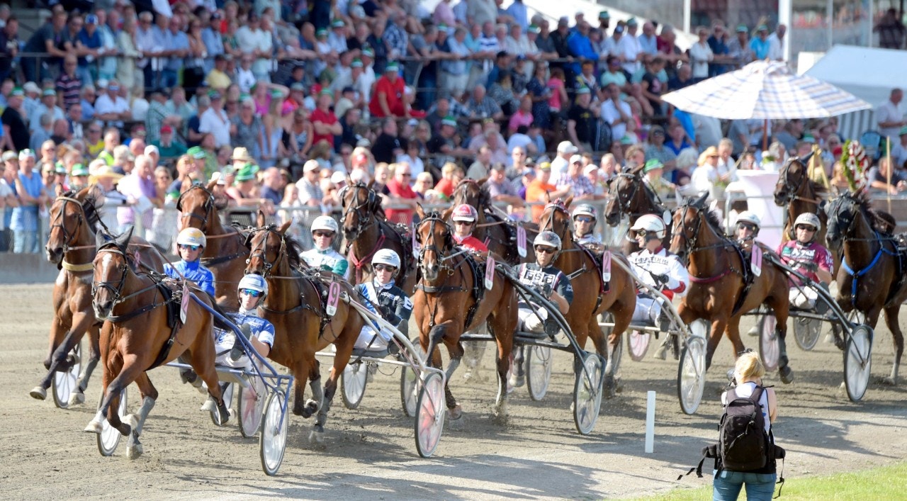 Stor publik vid Axevallas trippeltrav. Hur många kommer i år? Foto: ALN