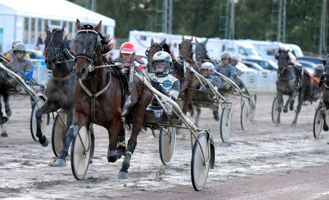 Tragik i Örebro: Hästen dog efter segern