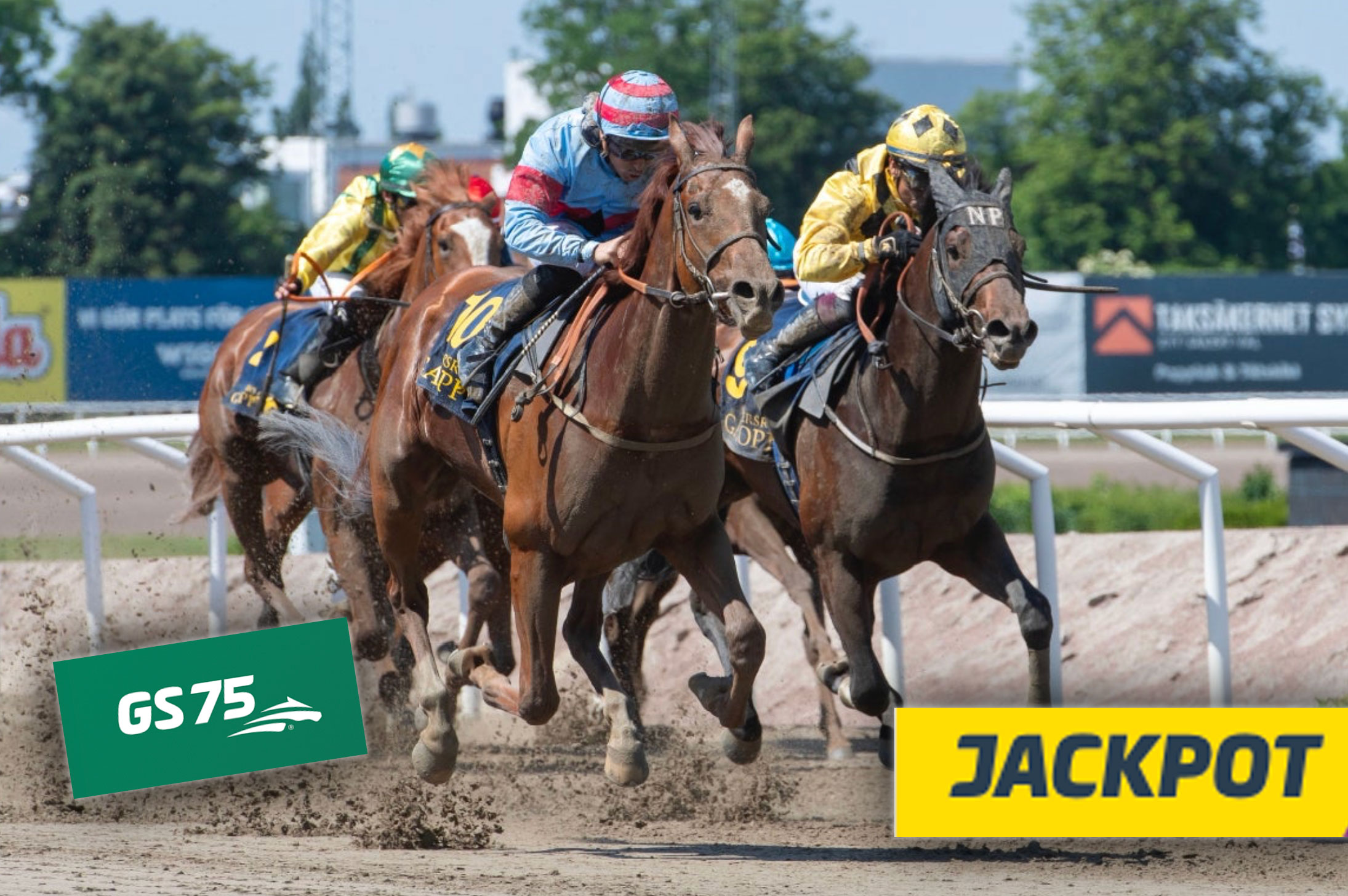 Tre hästar med ryttare i färgglada tävlingsdräkter galopperar på en sandbana under en galopp-tävling. Två hästar ligger tätt ihop i framkanten medan en tredje följer bakom. Banderoller med texten GS75 och JACKPOT syns längs banan.