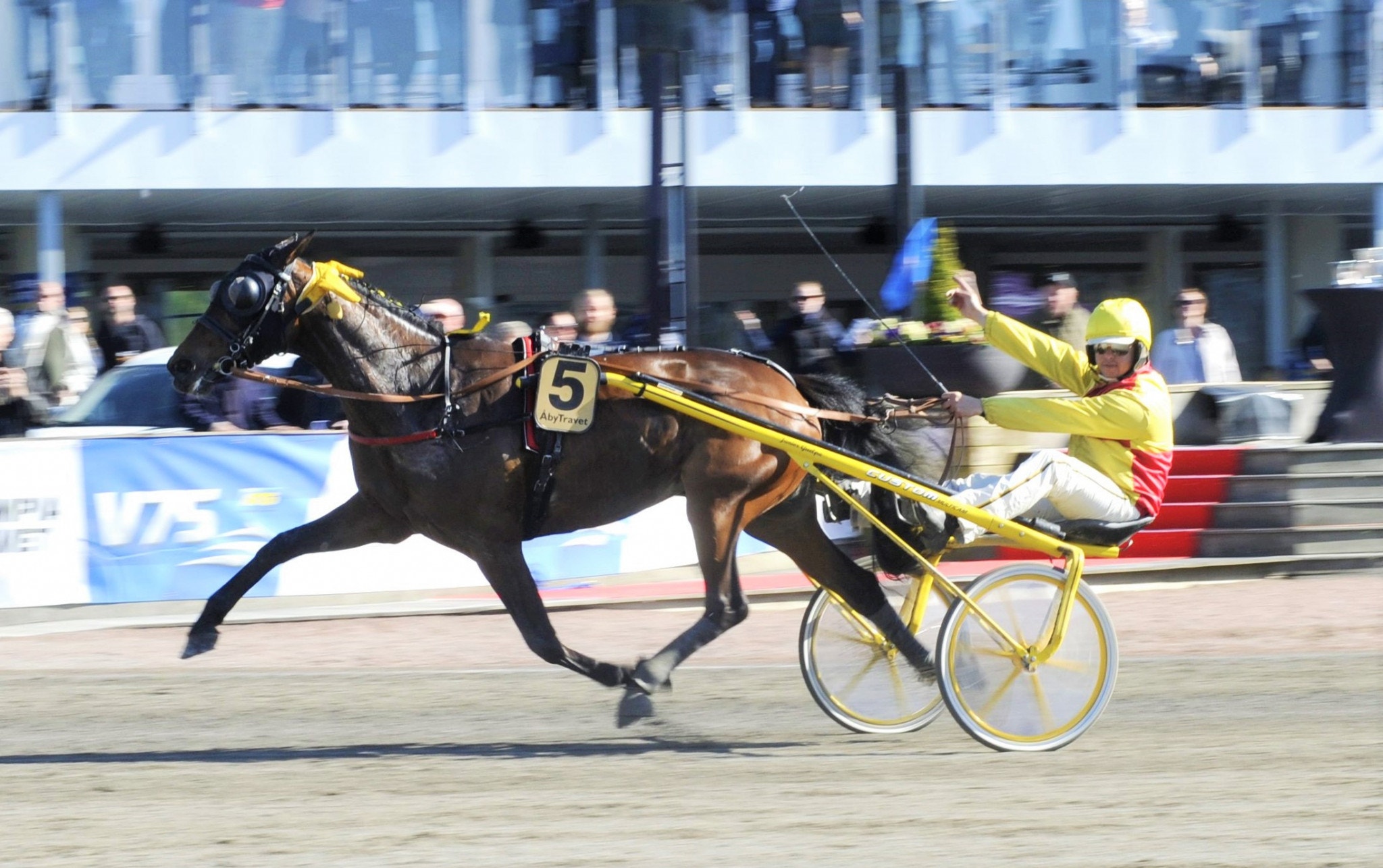 Bahia Quesnot är en av hästarna i lördagens Grupp 2-lopp i Cagnes-sur-Mer. Foto: ALN