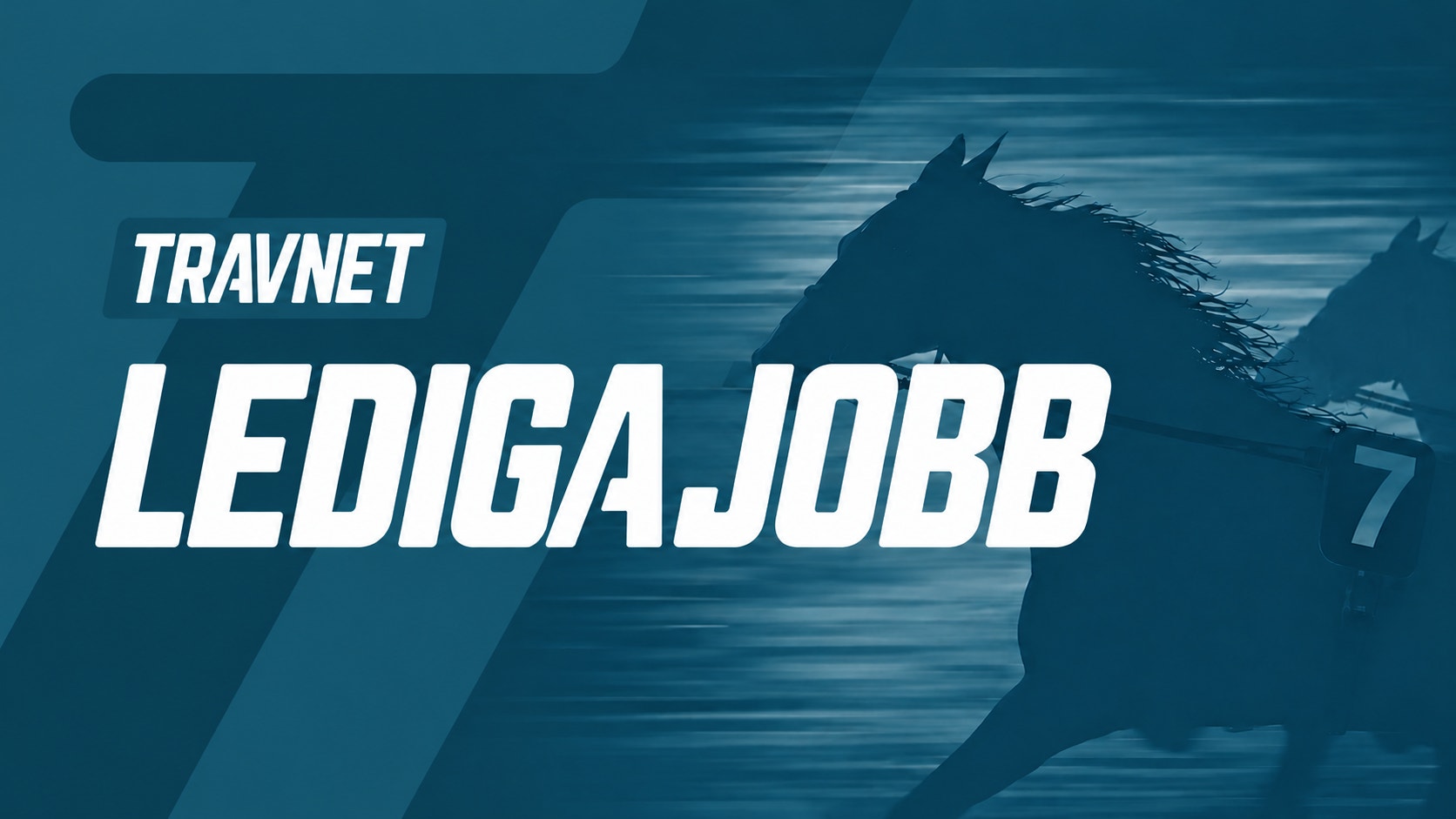 Travnet söker säljare!
