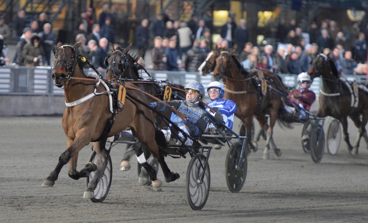 Nu är det dags för Velvet Gio? Foto: Leif Norberg, ALN