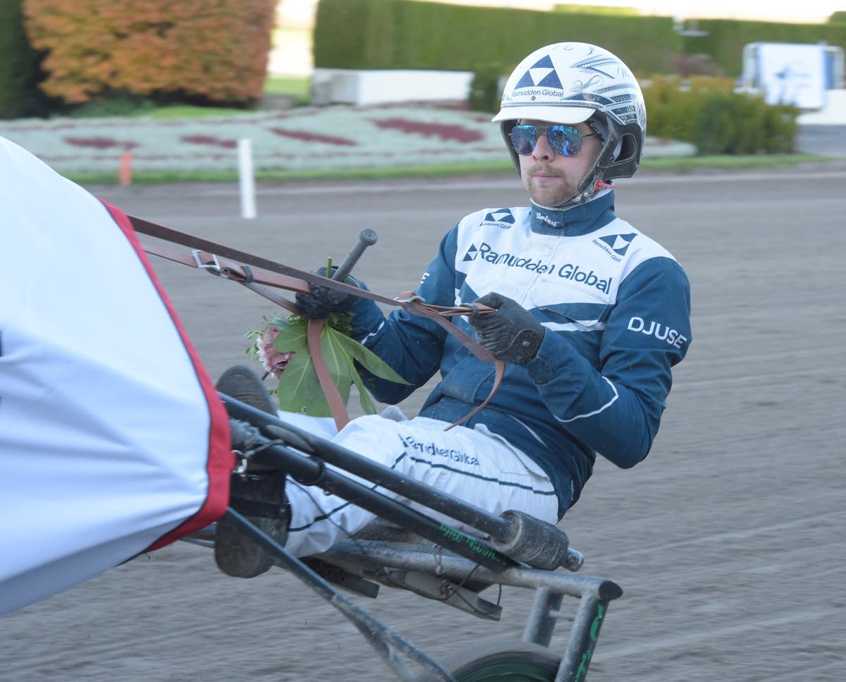 Magnus A Djuse