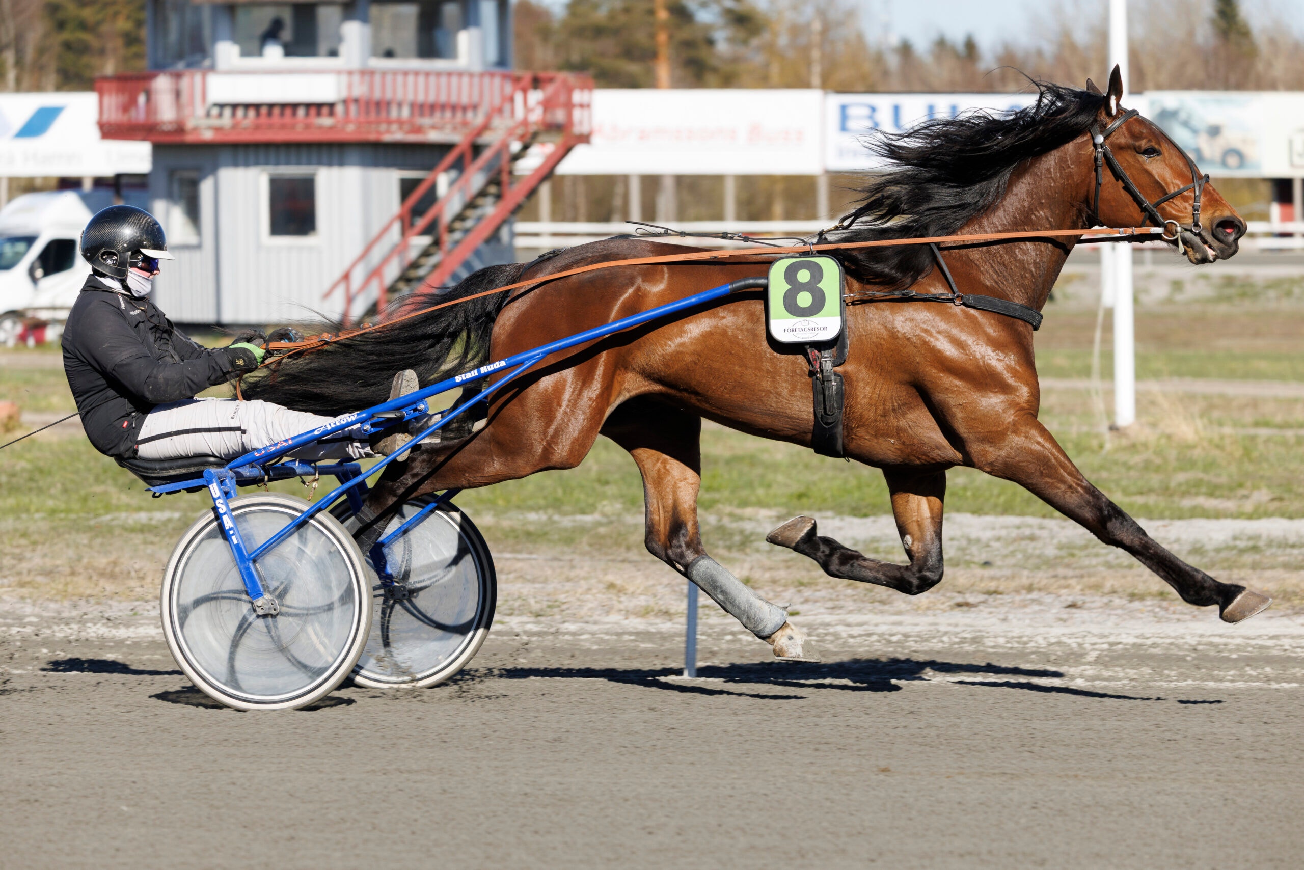 Ny svår skada för Ländins V75-vinnare