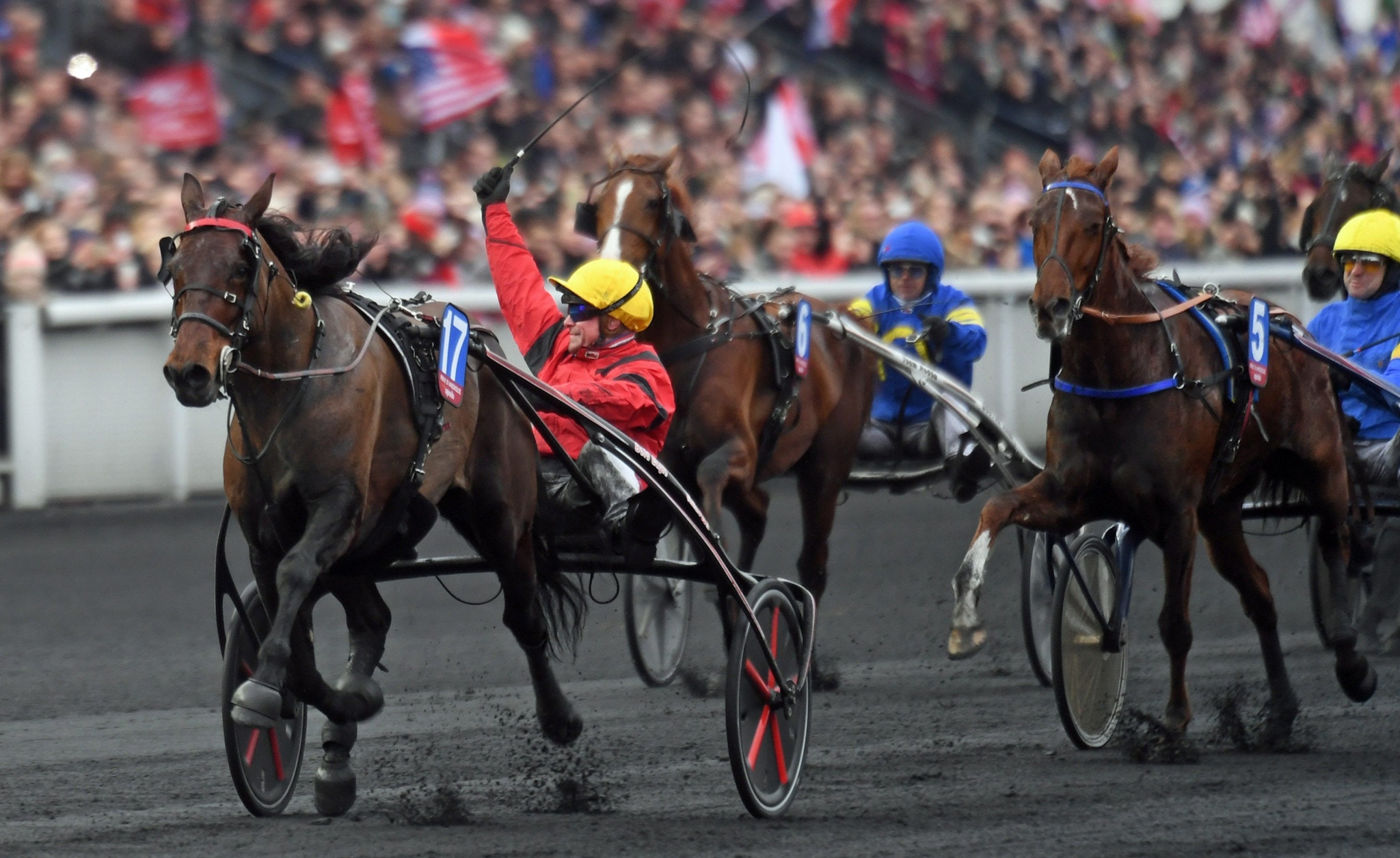 Bold Eagle firades som vinnare på Vincennes igen, efter att tagit sin fjärde raka seger i Prix René Ballière. Foto: ALN