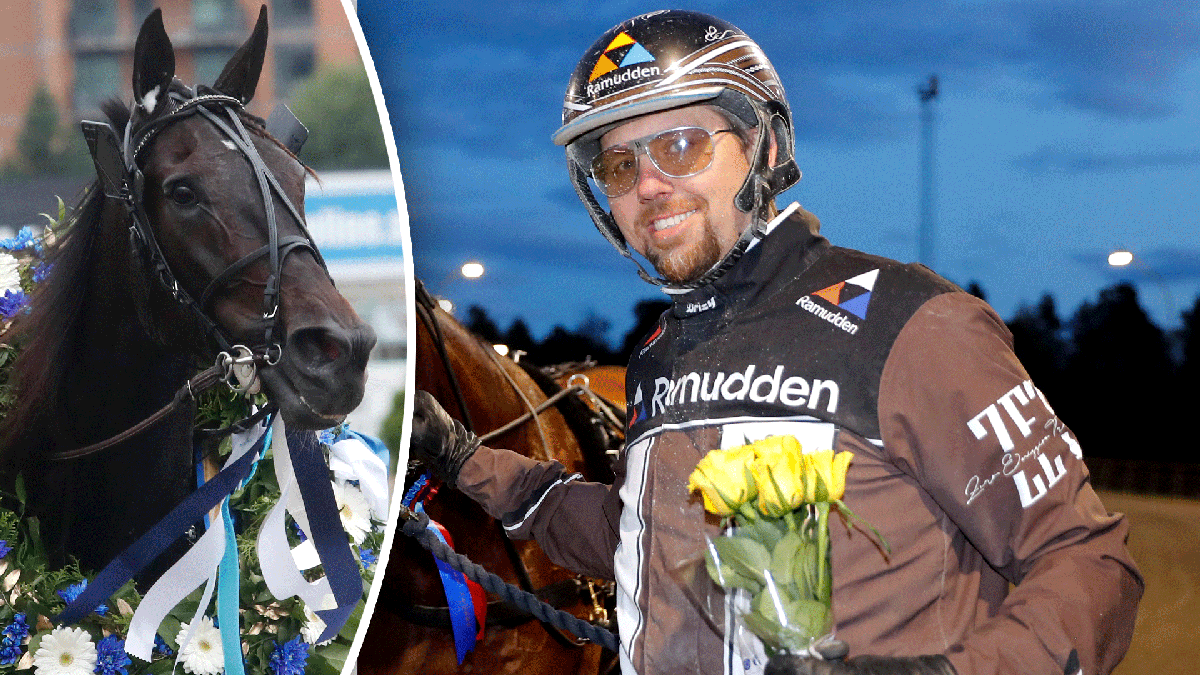 admiral as - Daniel reden 