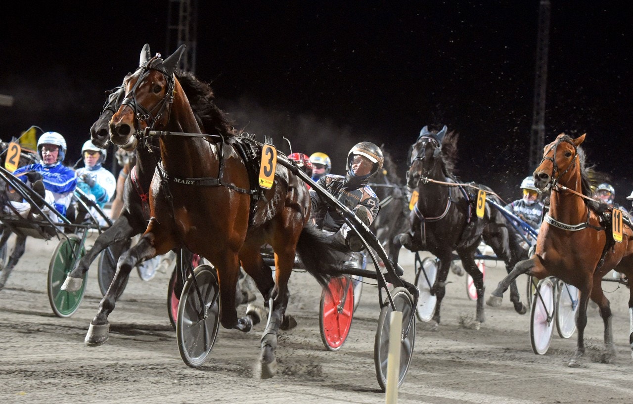 Inga bekymmer i årsdebuten för Hail Mary. Foto: Martin Langels, ALN