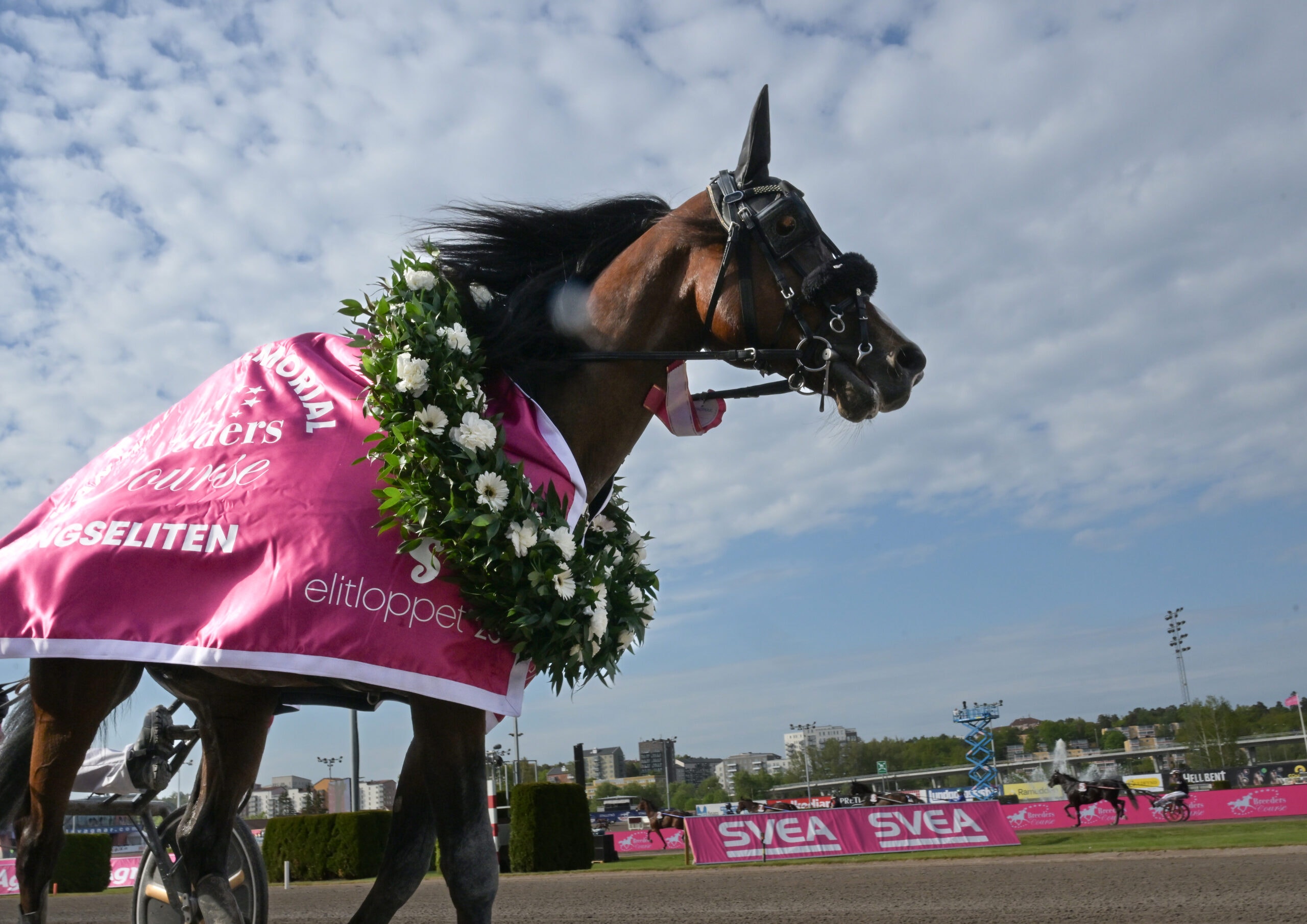 Foto: Lars Jakobsson, TR Bild