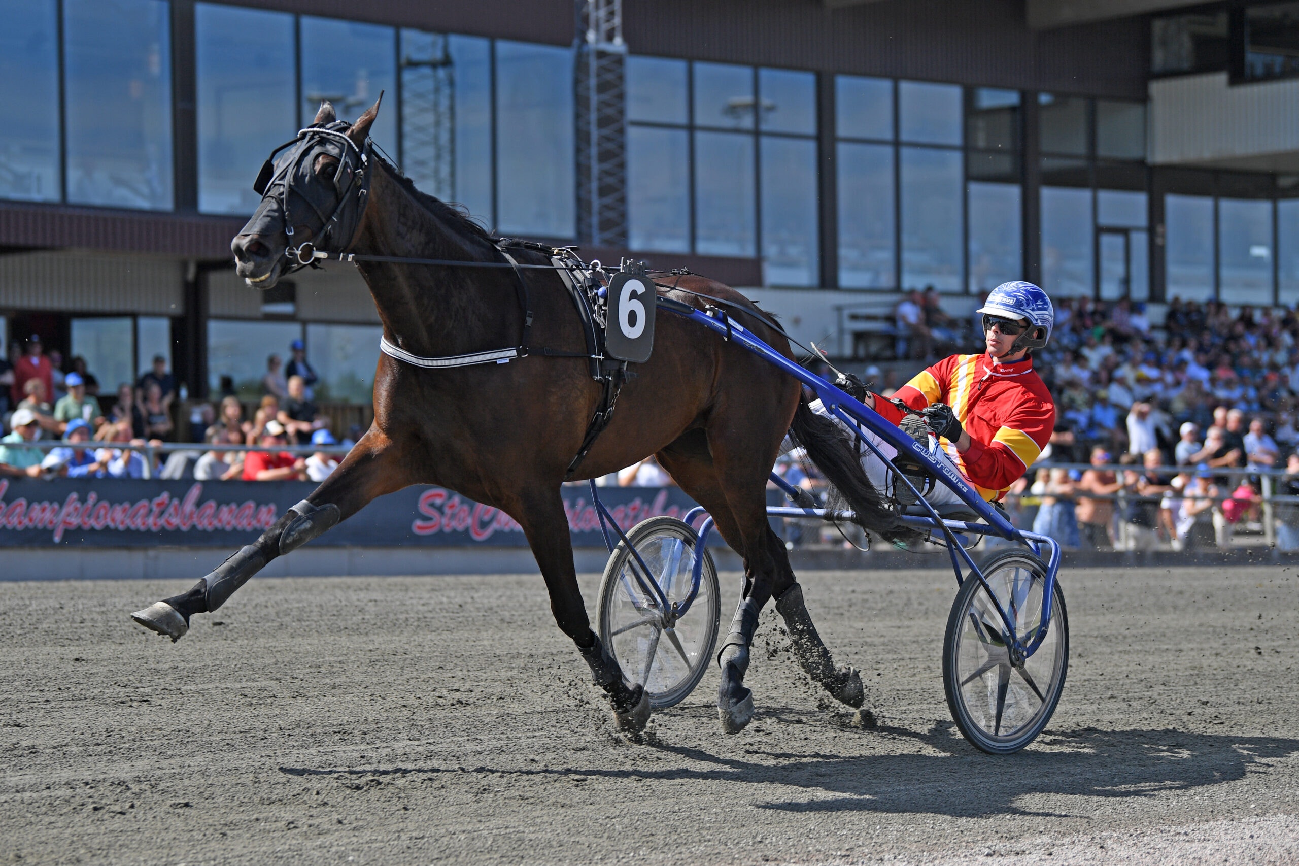 Foto: Malin Albinsson / TR Bild.