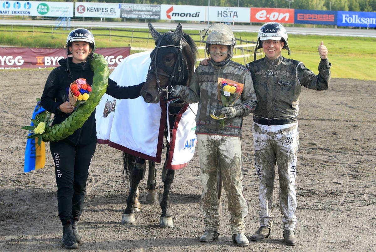 Gör Som Jag Vill - Ulf Ohlsson - Robert Skoglund