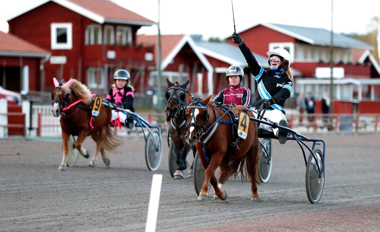Ponnytravet sätts på paus